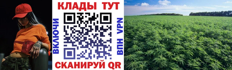 Как найти наркотики Княгинино mega ONION  Мефедрон  Марихуана  COCAIN  Alpha PVP 