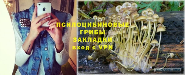 COCAINE Новозыбков