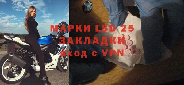 ГАЛЛЮЦИНОГЕННЫЕ ГРИБЫ Новодвинск