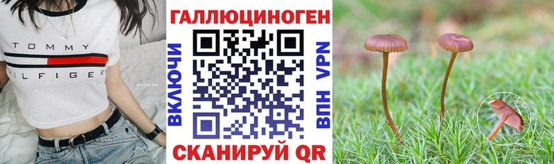 закладки mega онион Псилоцибиновые грибы прущие грибы Княгинино